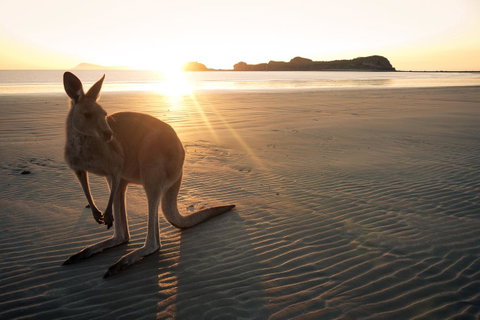 C-Scape Water Front Apartment - Lennox Head Accommodation 11