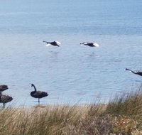 The DOLPHIN PLACE - Lennox Head Accommodation