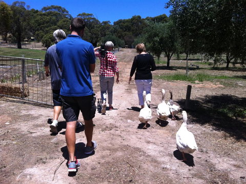 The Farm Willunga - Lennox Head Accommodation 1