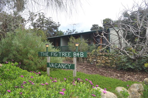 The Fig Tree B&B - Lennox Head Accommodation 0