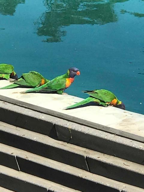 The Pool House - Lennox Head Accommodation 1