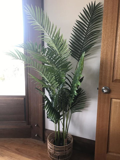 The Pool House - Lennox Head Accommodation 3