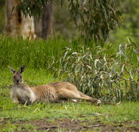 The Stirling Golf Club - Lennox Head Accommodation