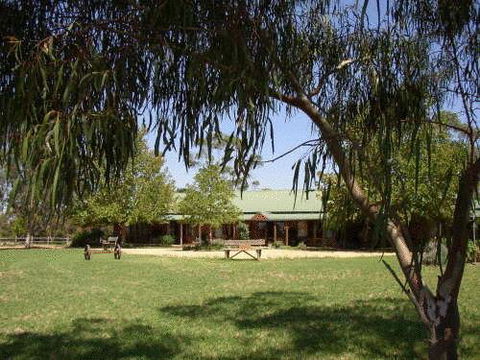 The Vineyard Motel - Lennox Head Accommodation 0
