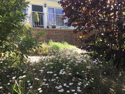 The Wentworth Retreat - Lennox Head Accommodation 2