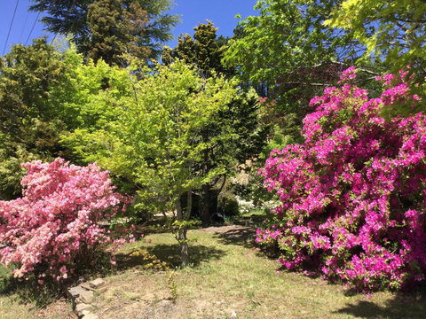 The Wentworth Retreat - Lennox Head Accommodation 1