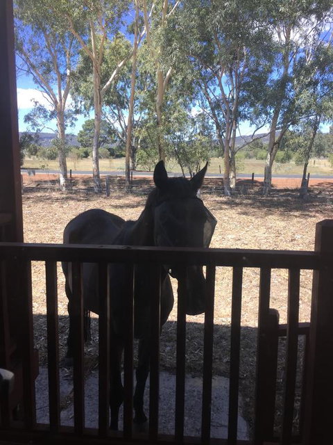 Thie My Chree Retreat - Lennox Head Accommodation 3