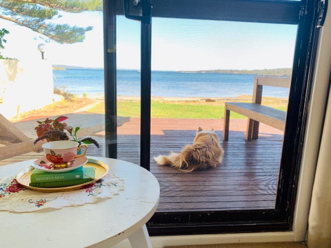Vandy's Shack At Mount Dutton Bay - Ideal For Couples And Small Families - Lennox Head Accommodation 3