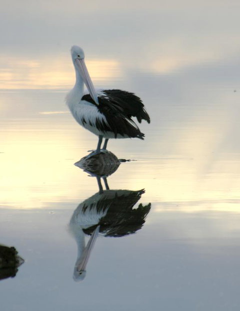 Wanderers Rest Of Kangaroo Island - Lennox Head Accommodation 3