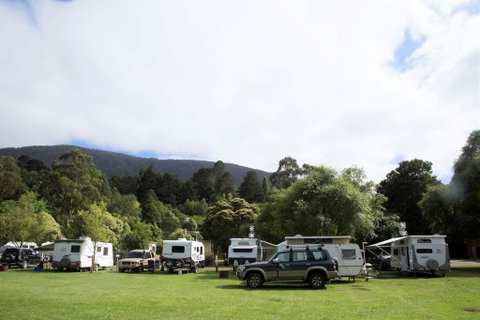 Warburton Holiday Park - Lennox Head Accommodation 0