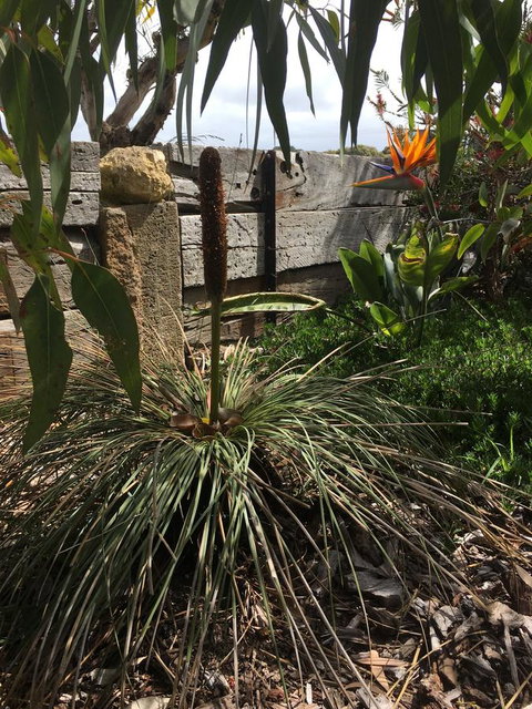 The PC Cottage - Lennox Head Accommodation 32