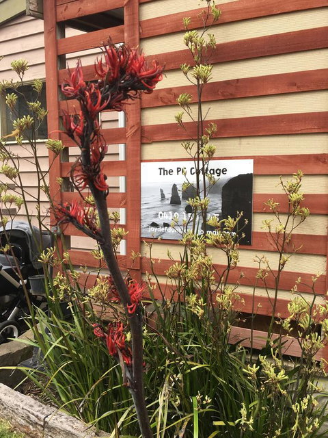 The PC Cottage - Lennox Head Accommodation 30