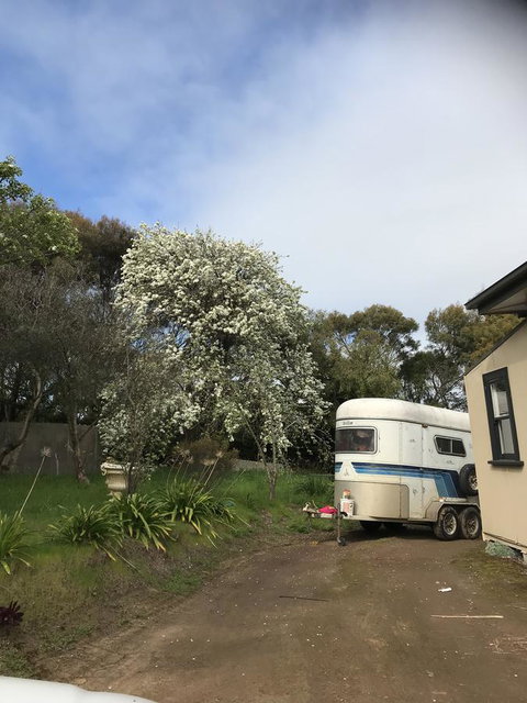 Hillâ€™s Creek Holiday Home - Lennox Head Accommodation 6