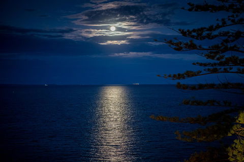 The Sebel Brisbane Margate Beach - Lennox Head Accommodation 10