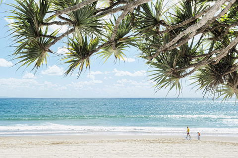 Netanya Noosa Beachfront Resort - Lennox Head Accommodation 38