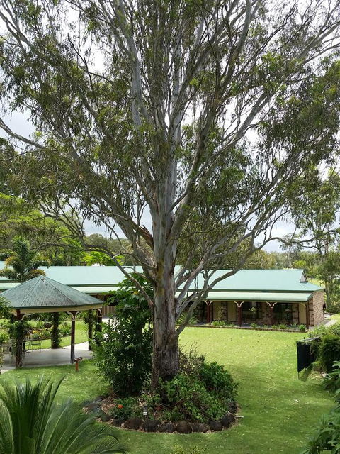 The Bearded Dragon Boutique Hotel - Lennox Head Accommodation 32