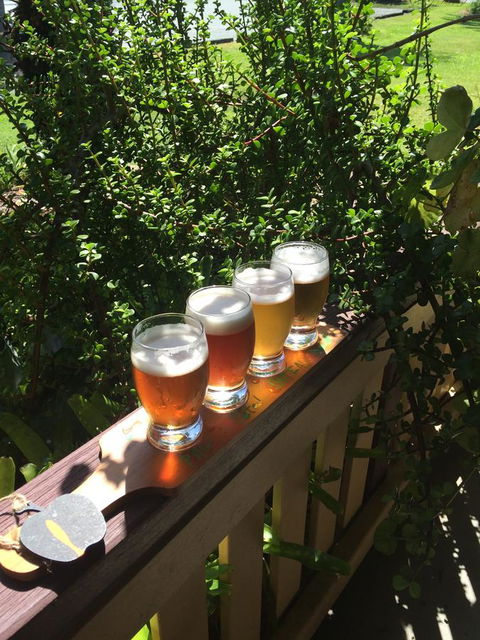 The Bearded Dragon Boutique Hotel - Lennox Head Accommodation 31