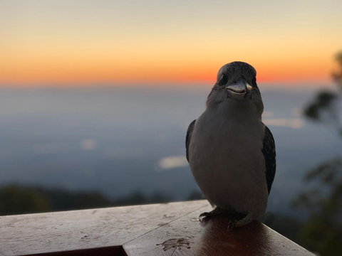 The Polish Place - Lennox Head Accommodation 2