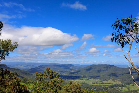 The Polish Place - Lennox Head Accommodation 10