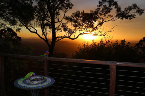 The Polish Place - Lennox Head Accommodation 17