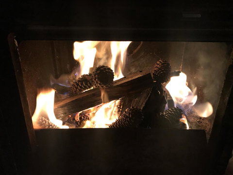 The Polish Place - Lennox Head Accommodation 7