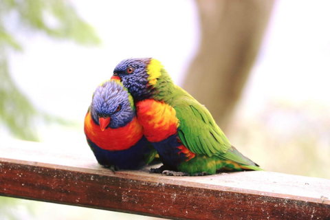 The Polish Place - Lennox Head Accommodation 9