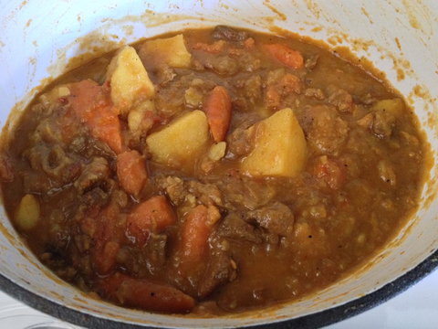 XYL Pets Friendly Seaside Boutique Guesthouse - Lennox Head Accommodation 9