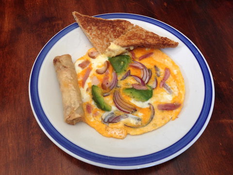 XYL Pets Friendly Seaside Boutique Guesthouse - Lennox Head Accommodation 38