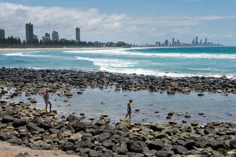 Oceania On Burleigh Beach - Lennox Head Accommodation 42