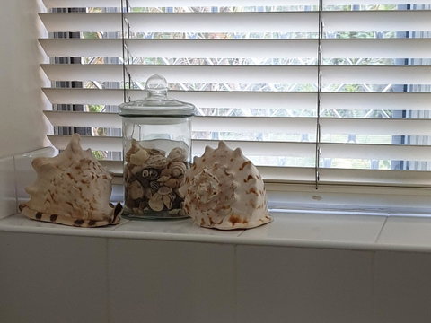 Oceania On Burleigh Beach - Lennox Head Accommodation 14