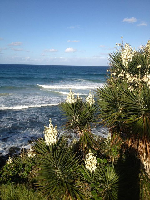 Oceania On Burleigh Beach - Lennox Head Accommodation 23