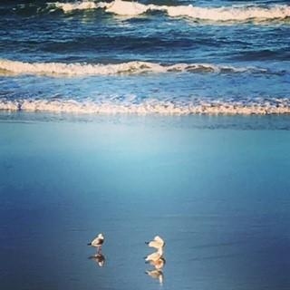 Oceania On Burleigh Beach - Lennox Head Accommodation 40