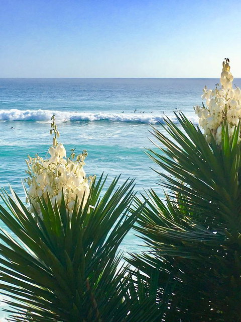 Oceania On Burleigh Beach - Lennox Head Accommodation 21
