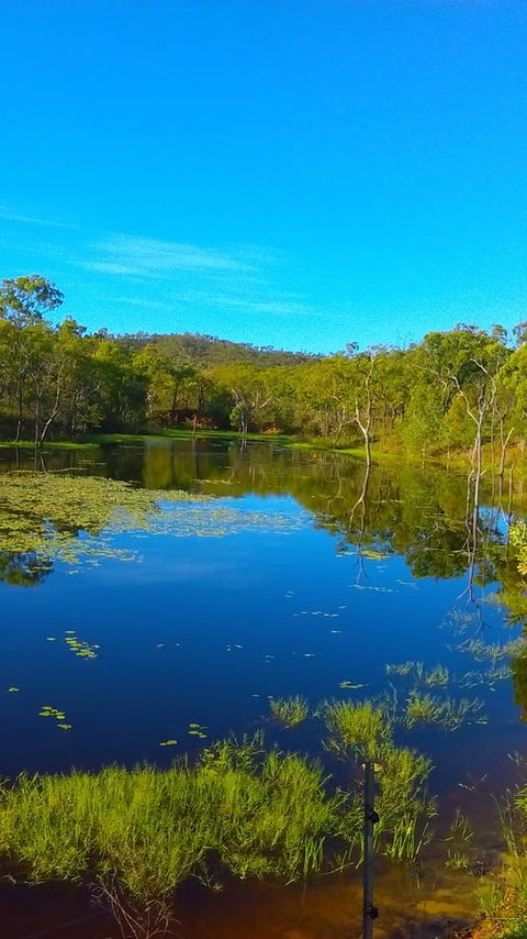 Ironbark House - Lennox Head Accommodation 21