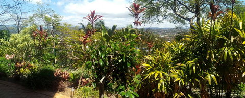 Private Guest Suite High On Currumbin Hill - Lennox Head Accommodation 27