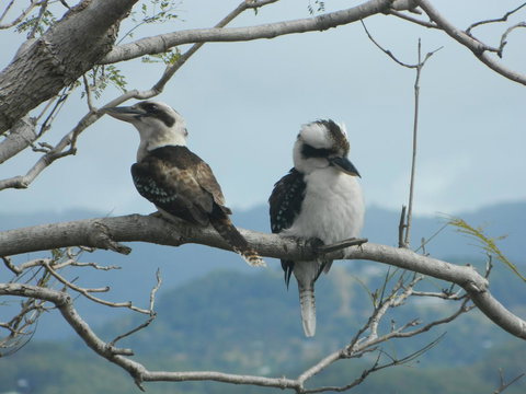 Private Guest Suite High On Currumbin Hill - Lennox Head Accommodation 24
