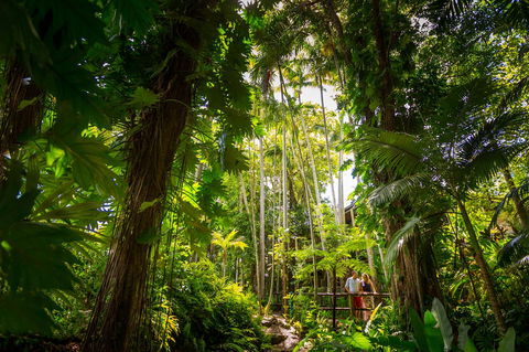 Cairns Colonial Club Resort - Lennox Head Accommodation 22