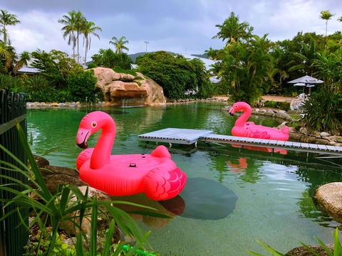 Cairns Colonial Club Resort - Lennox Head Accommodation 6