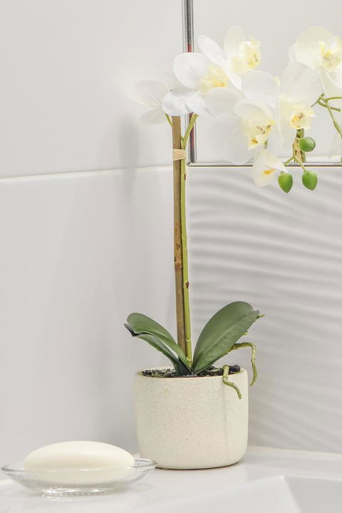 The Guesthouse Maleny - Lennox Head Accommodation 32