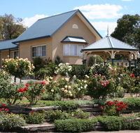 Willows Motel - Lennox Head Accommodation