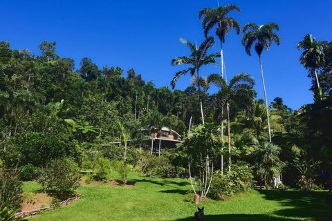 A Daintree Garden - Lennox Head Accommodation 0