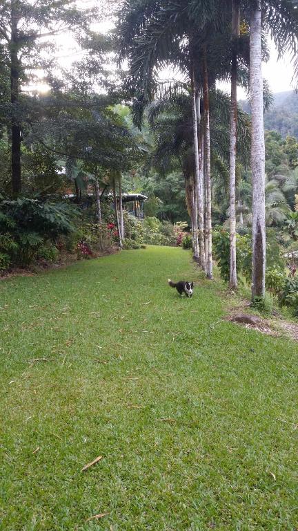 A Daintree Garden - Lennox Head Accommodation 1