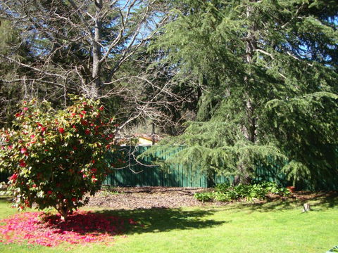 Ageri Holiday House - Lennox Head Accommodation 3