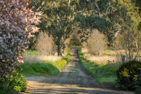 AL RU Farm - Lennox Head Accommodation 2