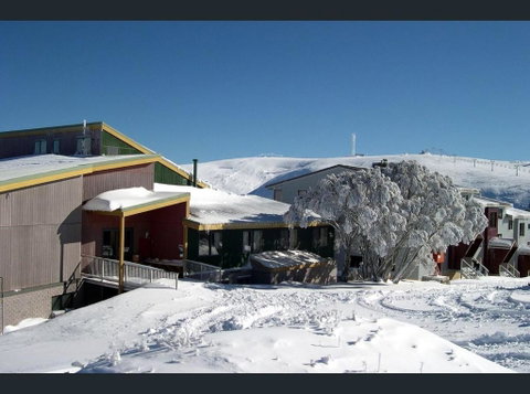 Alpine Cabin- Spa/Pool/Sauna - Lennox Head Accommodation 3