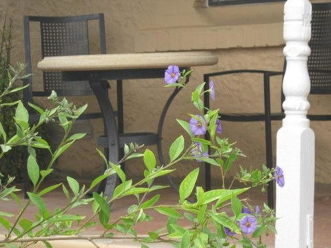 Amalie Cottage Waikerie Unit 1 - Lennox Head Accommodation 2