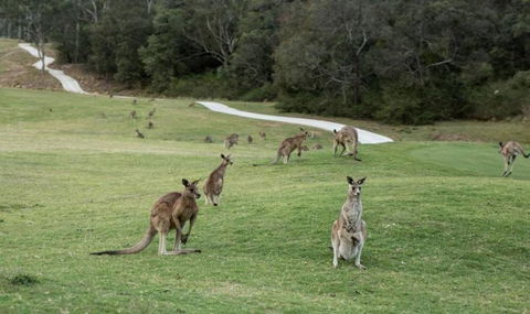 Anglesea River Apartment 22 - Lennox Head Accommodation 4