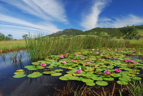 Barrington Hideaway- River Cottages - Lennox Head Accommodation 4