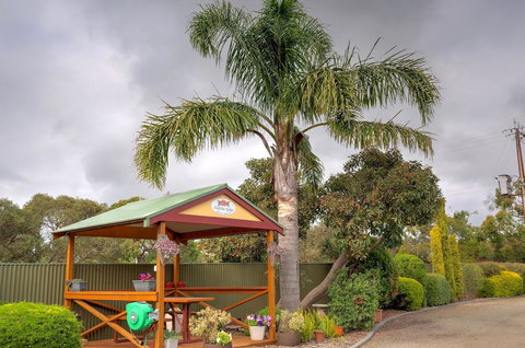 Ficifolia Lodge - Lennox Head Accommodation 8