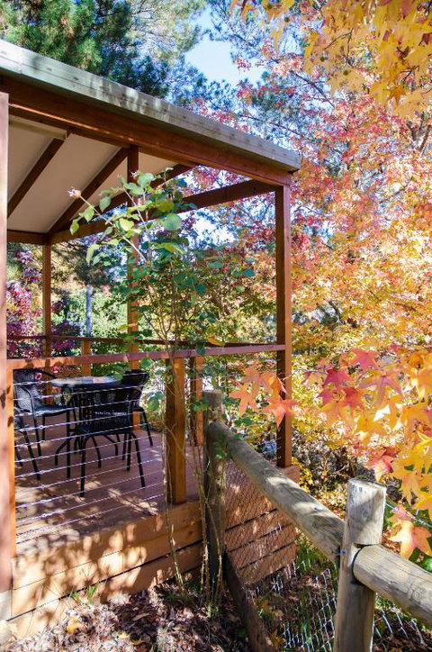 BIG4 Tasman Holiday Parks - Bright - Lennox Head Accommodation 1